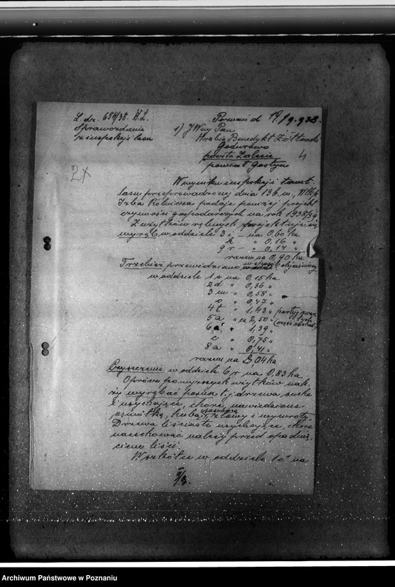 Obraz 8 z jednostki "Majętność leśna Godurowo w powiecie gostyńskim"