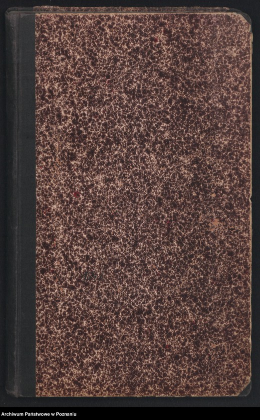 Obraz 2 z jednostki "Dziennik główny rok 1920"