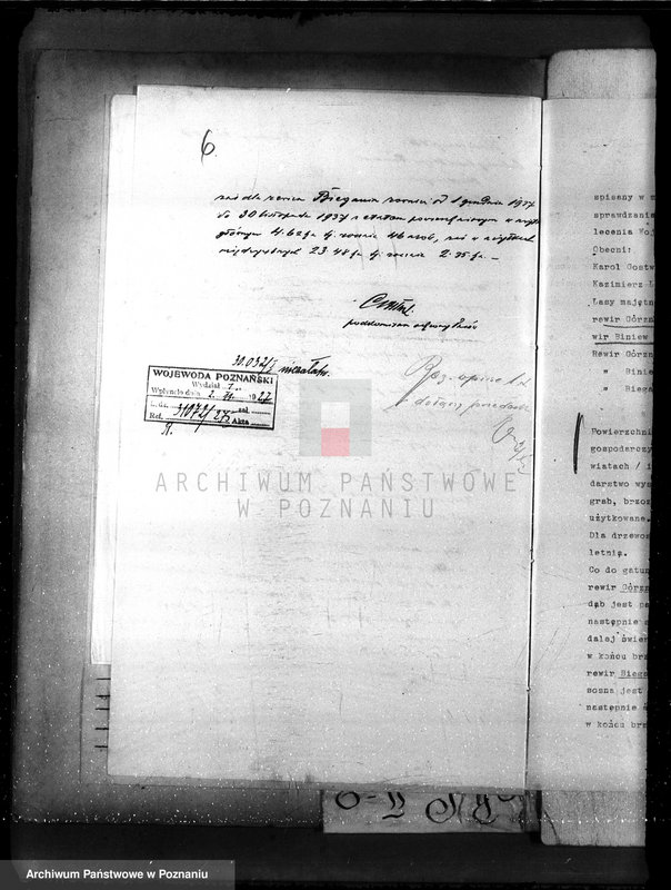 Obraz 10 z jednostki "Nadzór nad gospodarką w lasach majętności Gorzno-Biniew powiat ostrowski"