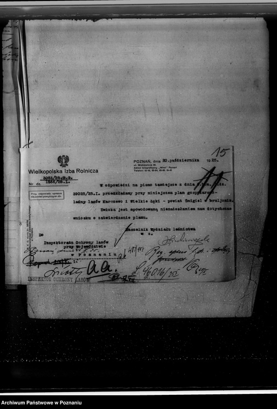 Obraz 19 z jednostki "Majętność leśna Karczewo powiat kościański"