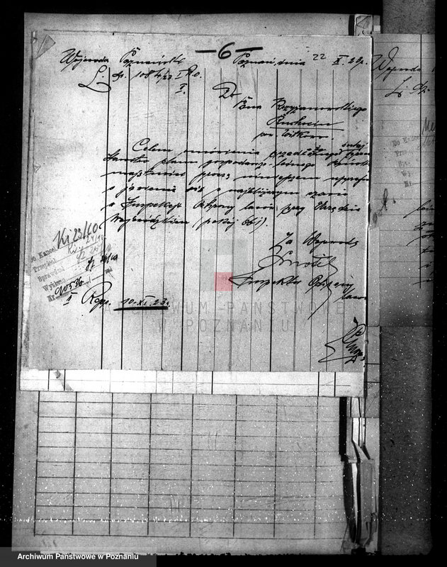 Obraz 10 z jednostki "Nadzór nad gospodarką w lasach majętności Ruchocin powiecie gnieźnieńskim"