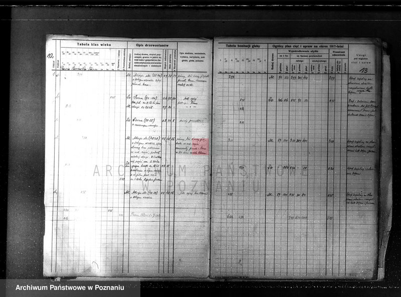 Obraz 16 z jednostki "Plan urządzania gospodarstwa leśnego dla lasu majętności Borówkowo-Stare i Piotrkowice powiat kościański"