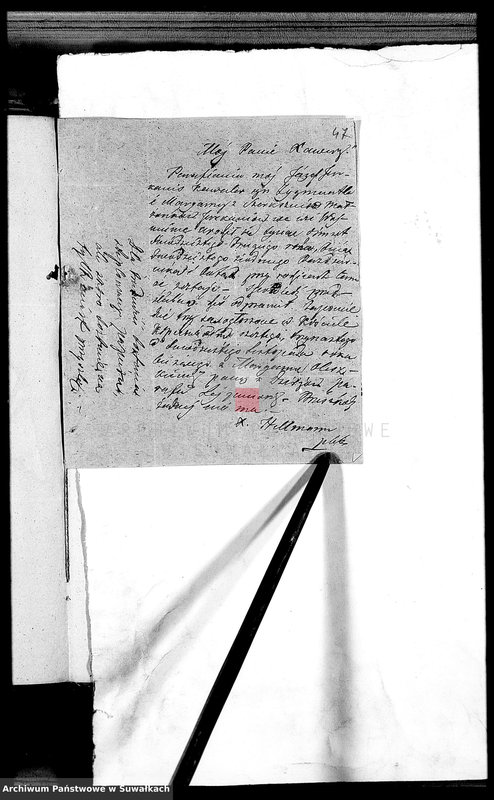 Obraz 19 z jednostki "Dowody do Akt Małżeństw Parafii Lejpuńskiej z Roku 1842"