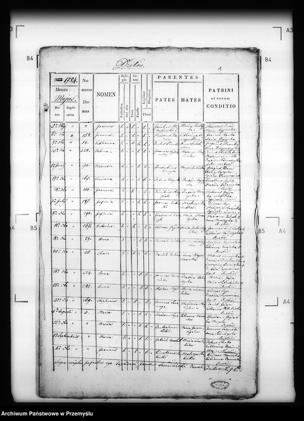 image.from.unit.number "[Kopie ksiąg metrykalnych parafii Dzików Stary (dekanat Cieszanów)]"