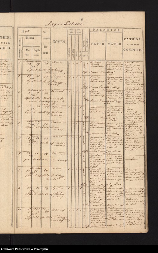 image.from.unit.number "Extractus ex libris metricalibus natorum, copulatorum et mortuorum ecclesia parochialis r.l. Łukawicensis pro anno solari 1845. Pagi: Łukawiec, Bihale, Szczutków cum Ruda Szczutkowska, Nowa Grobla, Kobylnica Ruska cum Wołoska [Wyciąg z ksiąg metrykalnych urodzeń, małżeństw i zgonów parafii obrządku łacińskiego w Łukawcu za rok 1845 wsie – Łukawiec, Bihale, Szczutków z Rudą Szczutkowską, Nowa Grobla, Kobylnica Ruska i Wołoska]"
