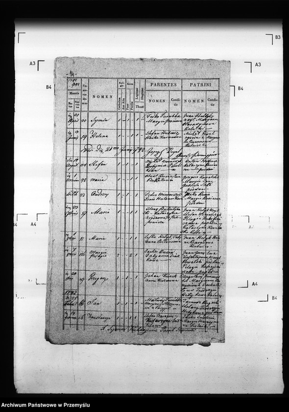 Obraz 19 z jednostki "[Kopie ksiąg metrykalnych parafii Szczerzec z filią Parypsy (dekanat Niemirów)]"