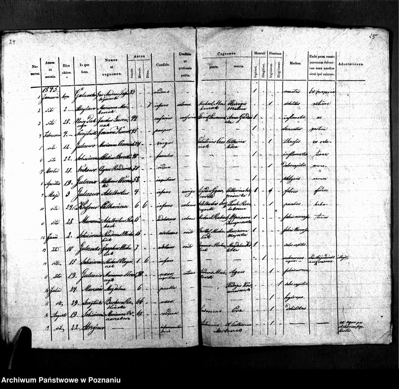 Obraz 16 z jednostki "Libri metrices baptisatorum, desponsatorum, mortuorum"