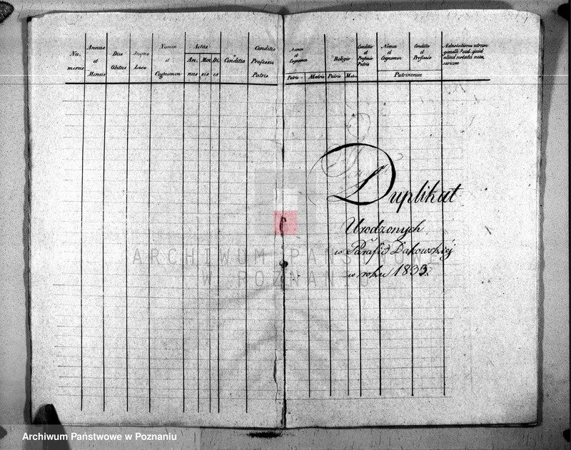 image.from.unit.number "Duplicat natorum, copulatorum, mortuorum"