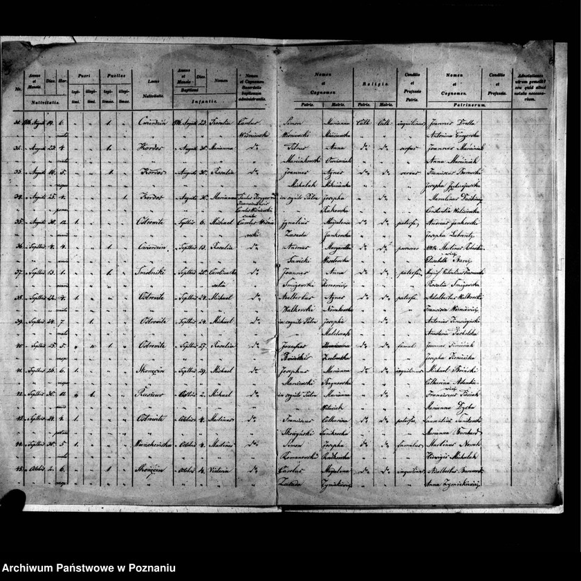 image.from.unit.number "Duplicatus baptisatorum, copulatorum, mortuorum"