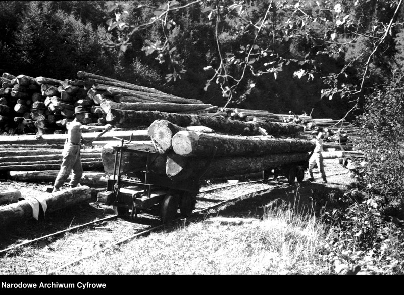 image.from.unit.number "Tartak w Skolem"