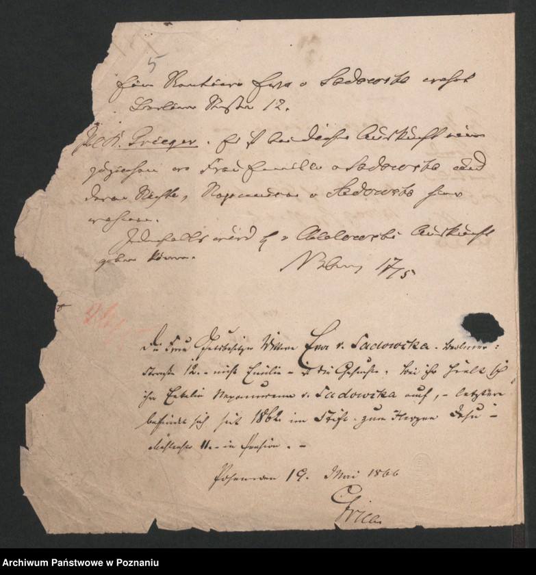 Obraz 9 z jednostki "A. betr. Familie von Sadowski"