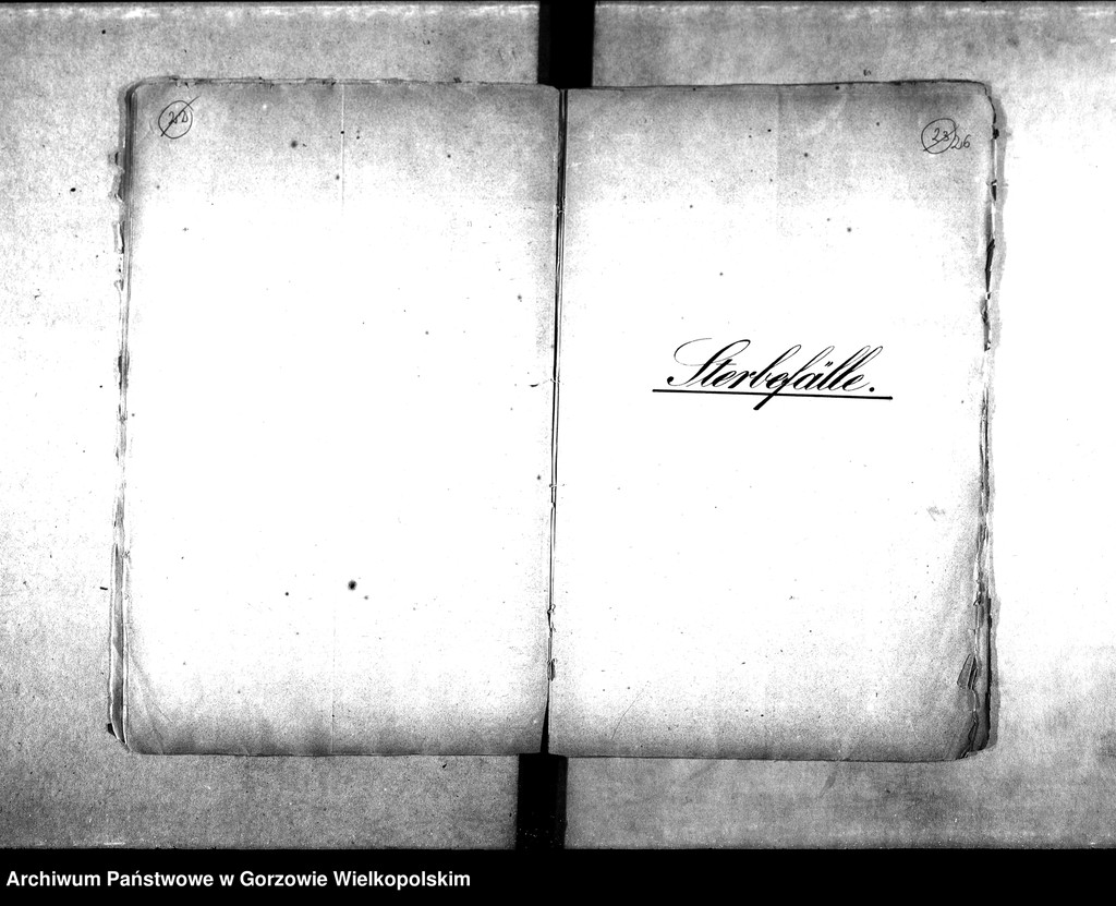 image.from.unit.number "Duplikate der Kirchenbücher von: Wormsfelde (Wojcieszyce) mit Unterförsterei, Theerofen und Mühlen, Stolzenberg (Różanki) mit Oberförsterei, Ziegelei, Kolonie und Theerofen."