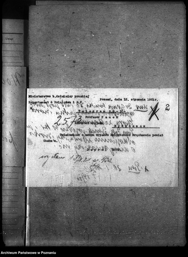 Obraz 7 z jednostki "Księgosusz - Toruń"