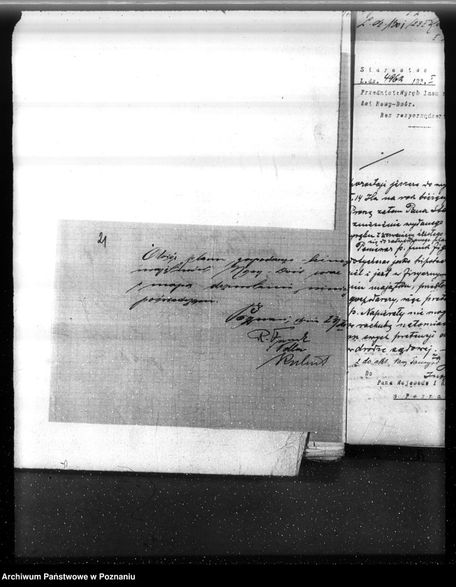 Obraz 20 z jednostki "Nadzór nad gospodarką w lasach majętności Nowy Dwór w powiecie nowotomyskim"