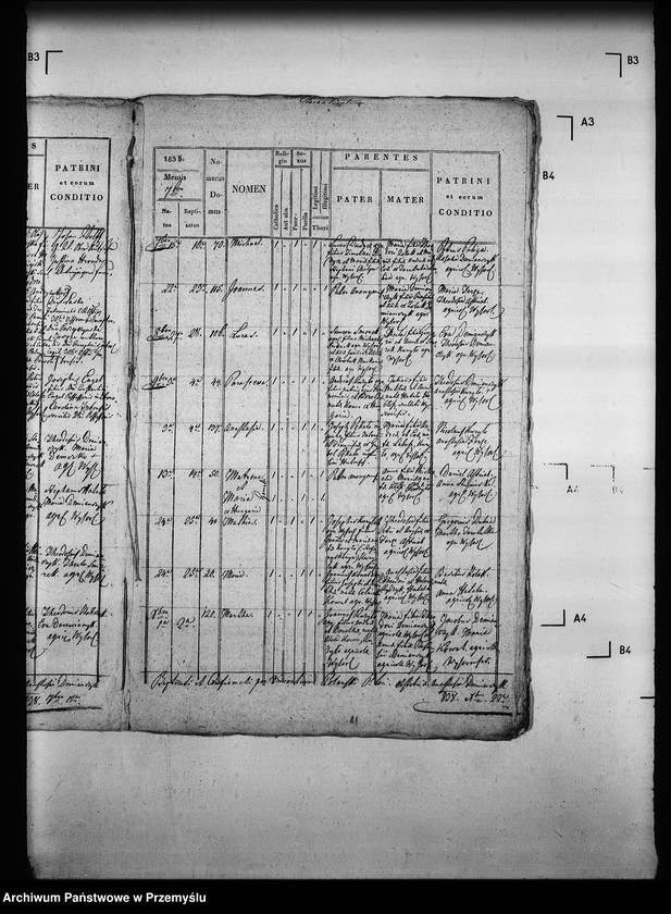 Obraz 14 z jednostki "[Kopie ksiąg metrykalnych parafii Wysowa z filią Blechnarka (dekanat Gorlice)]"