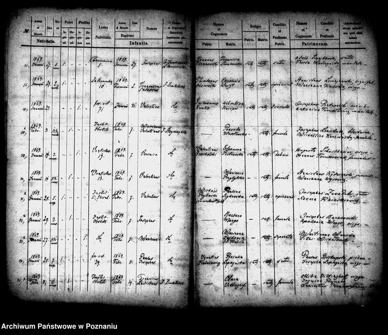 Obraz 5 z jednostki "Księga urodzin"