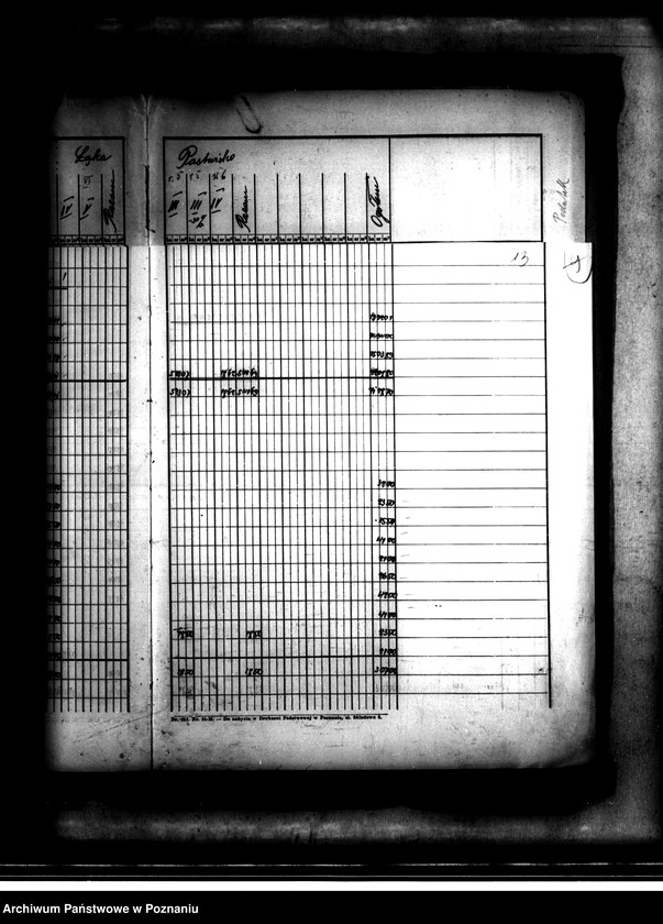 Obraz 19 z jednostki "Tymczasowy rejestr pomiarowy części majątku Przygodzice powiatu ostrowskiego"