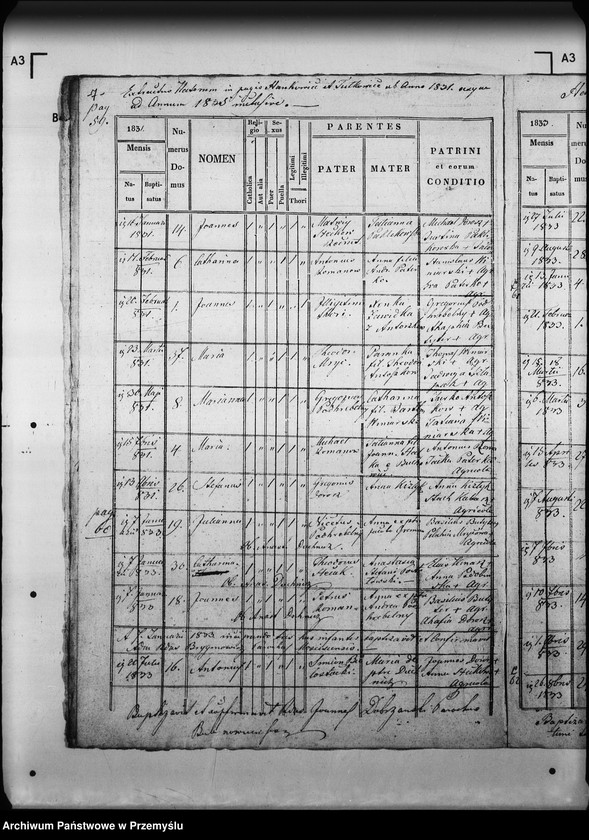 Obraz 11 z jednostki "[Kopie ksiąg metrykalnych parafii Myślatycze (dekanat Mościska)]"