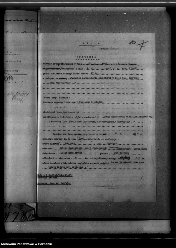 Obraz 14 z jednostki "Nadzór nad gospodarką leśną majętności Mokronos powiat krotoszyński"