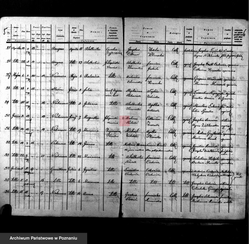 image.from.unit.number "Liber copulatorum, baptisatorum, mortuorum"