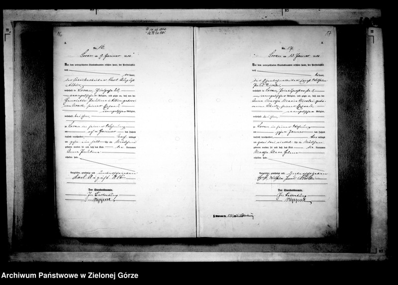 Obraz 13 z jednostki "[Księga akt urodzenia rok 1900-Żary miasto]"