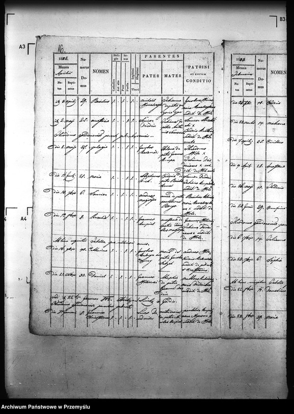 image.from.unit.number "[Kopie ksiąg metrykalnych parafii Pełniatycze z filiami Cząstkowice, Czelatyce, Roźwienica, Rożniatów, Rudołowice, Wola Roźwienicka (dekanat Pruchnik)]"