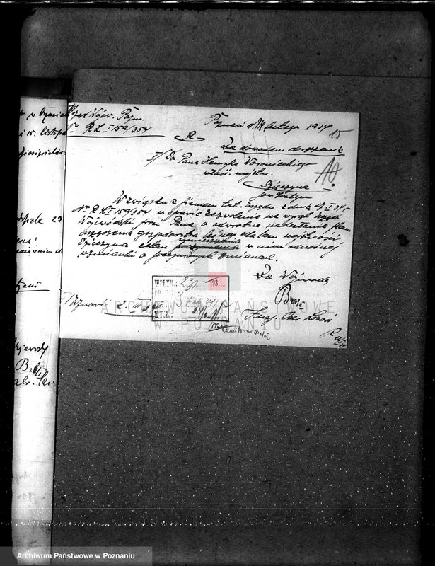 Obraz 19 z jednostki "Majętność leśna Dzięczyna w powiecie gostyńskim"