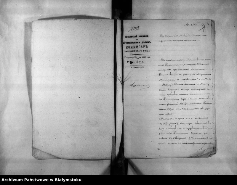 image.from.unit.number "Delo… Po selenîju Gudeliški, gminy Kirsna Kalvarîjskago uezda, b.kazennoe"