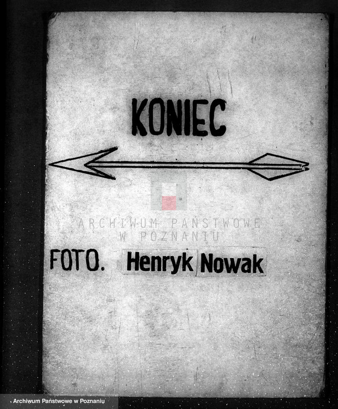 Obraz 19 z jednostki "Majętność leśna w Sarbii w powiecie czarnkowskim"