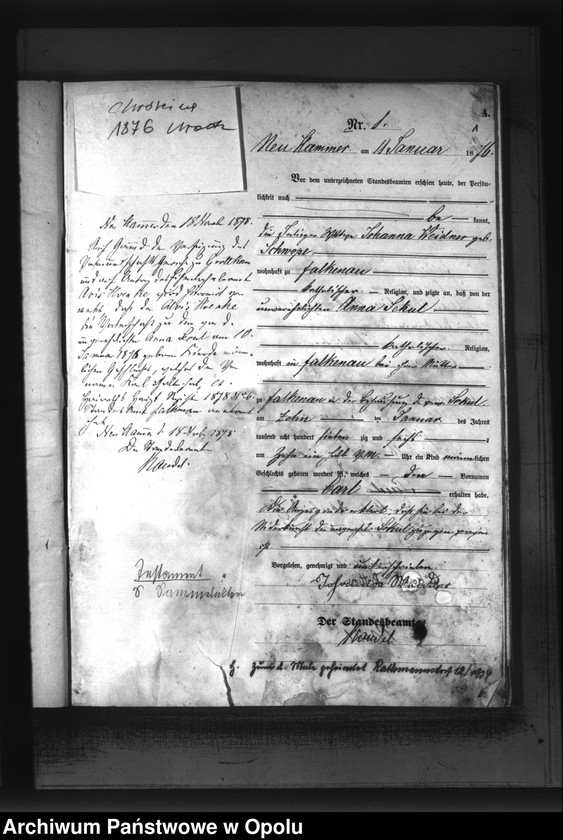 Obraz z jednostki "Chróścina urodzenia rok 1876"