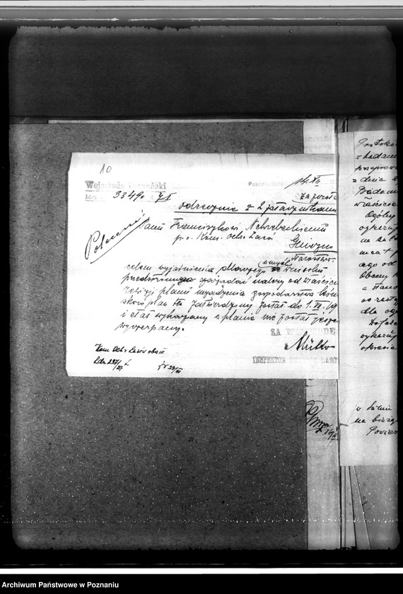 Obraz 14 z jednostki "/Nadzór nad gospodarką leśną/ majętności Zakrzewo powiecie gnieźnieńskim"