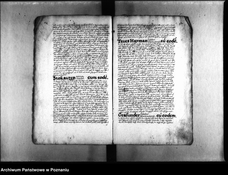 Obraz 9 z jednostki "Decreta [inducta]"