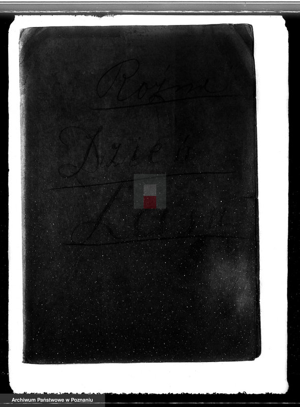 Obraz 4 z jednostki "Sprawa pojawienia się borecznika w lasach majątku Dąbia powiatu kolskiego"