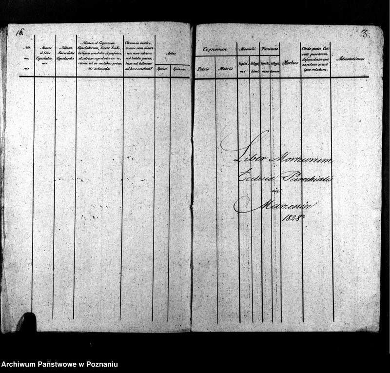Obraz 11 z jednostki "Libri metrices baptisatorum, desponsatorum, mortuorum"