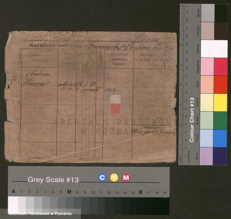 Obraz 1 z jednostki "Kurs - Kusz"