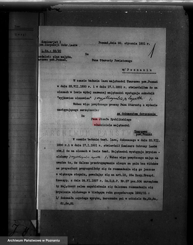 Obraz 5 z jednostki "Majętność leśna Uzarzewo powiat poznański"