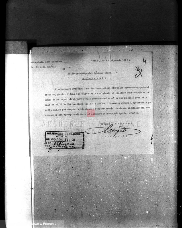 Obraz 8 z jednostki "Majętność leśna Glinno powiat wągrowiecki"