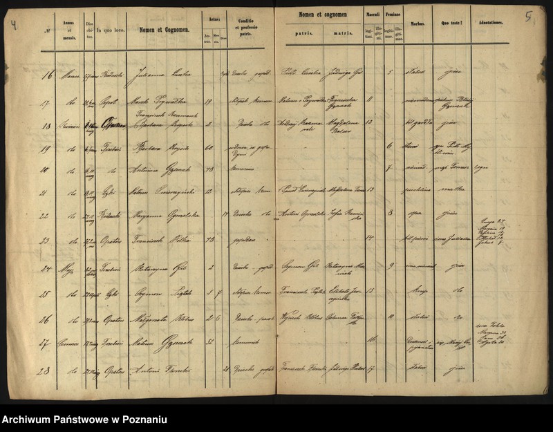 Obraz 5 z jednostki "Duplikat zmarłych"