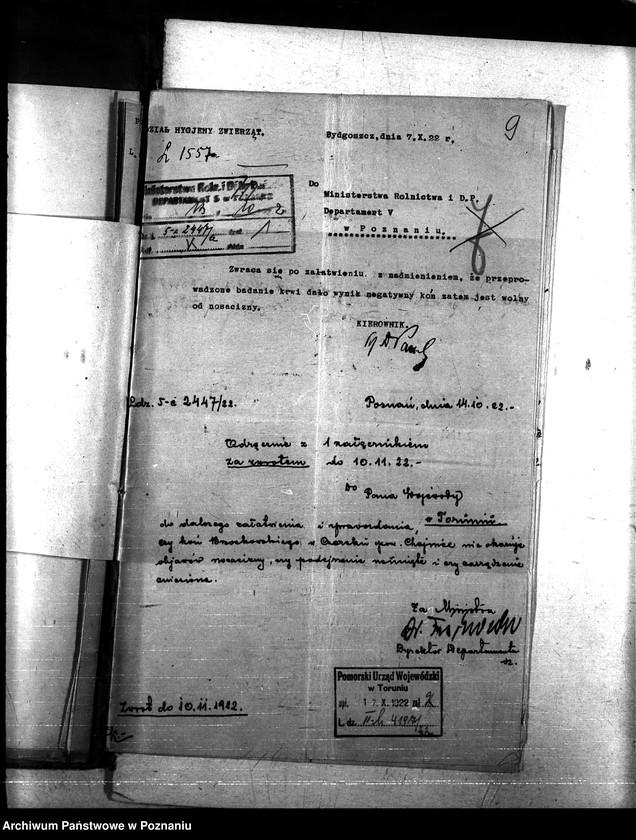 Obraz 13 z jednostki "Nosacizna - Chojnice"