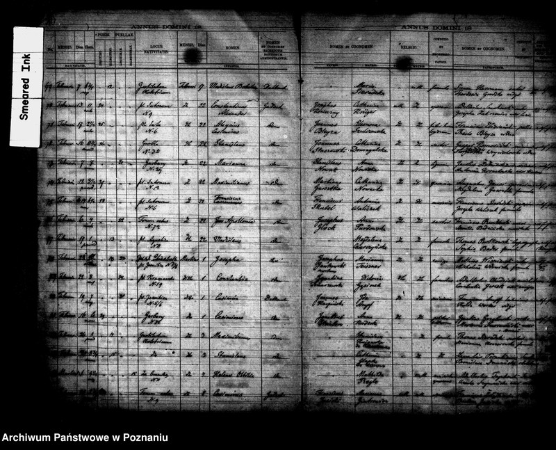 Obraz 6 z jednostki "Księga urodzin"