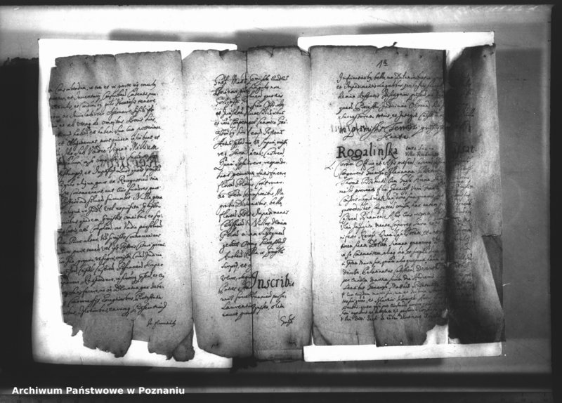 Obraz 3 z jednostki "Relationes [protocollon]"