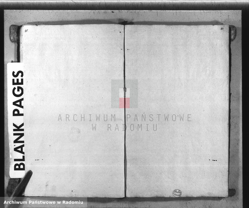 Obraz 13 z jednostki "[Duplikat Parafii Wysoka w powiecie Szydłowieckim Obwodzie Opoczyńskim] Gubernij Sandomierskiej na rok 1838 sporządzona"