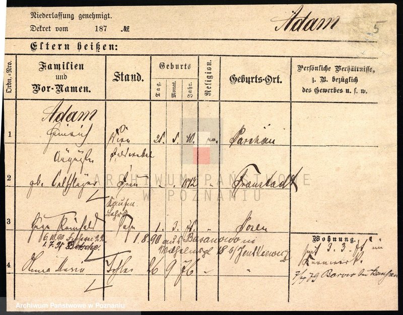 Obraz 8 z jednostki "Adam - Adamczak"