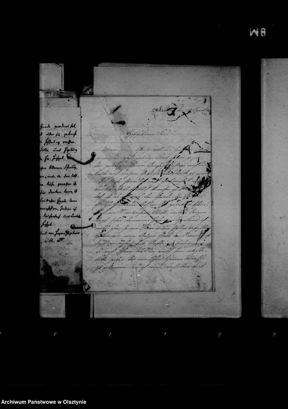 image.from.unit.number "/Briefe des Hauslehrers Dr. G. Molwitz an Anna Gfin Lehndorff/"