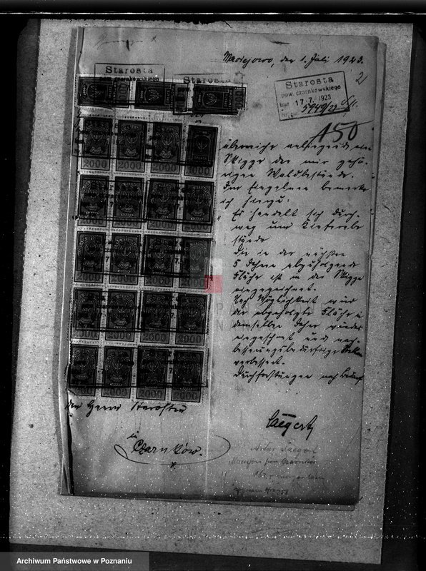 Obraz 6 z jednostki "/Nadzór nad lasami majętności Maciejewo w powiecie czarnkowskim/"