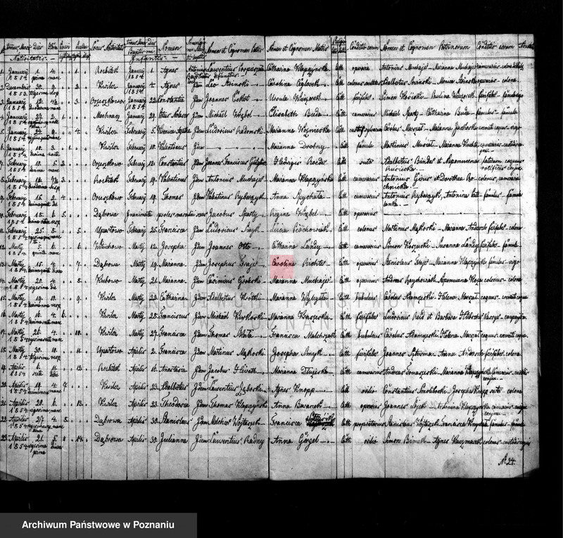 Obraz 2 z jednostki "Liber baptisatorum, copulatorum et mortuorum"