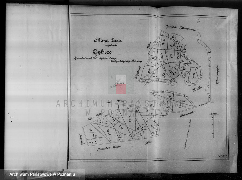 Obraz 10 z jednostki "/Nadzór nad lasami/ majętności Gębice powiatu czarnkowskiego"