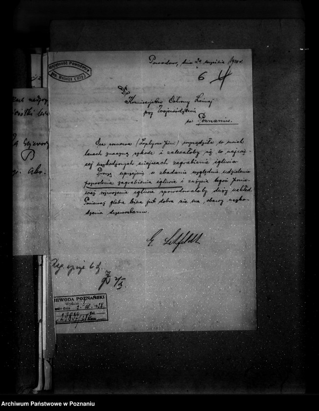 Obraz 10 z jednostki "Majętność leśna Powodowo powiat wolsztyński"