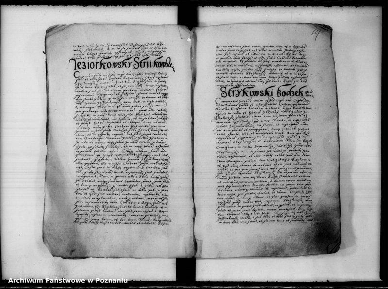 Obraz 15 z jednostki "Inscriptiones, relationes [inducta]"