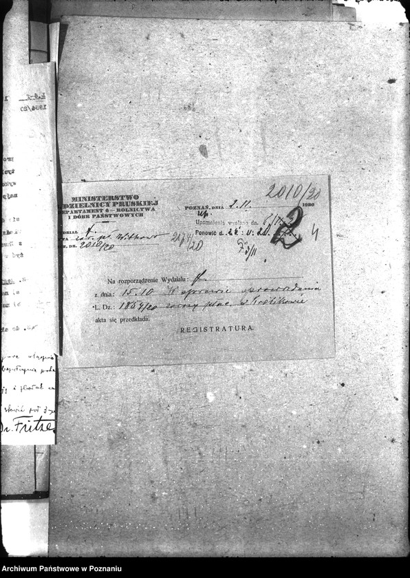 Obraz 8 z jednostki "Zaraza płucna - Witkowo"